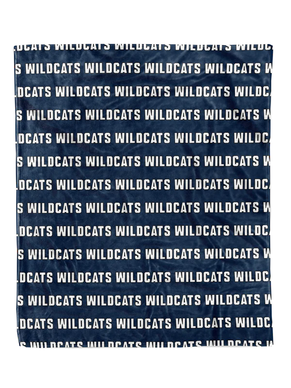Sample School Spirit Minky Blankets