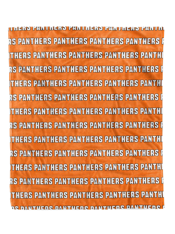 Sample School Spirit Minky Blankets