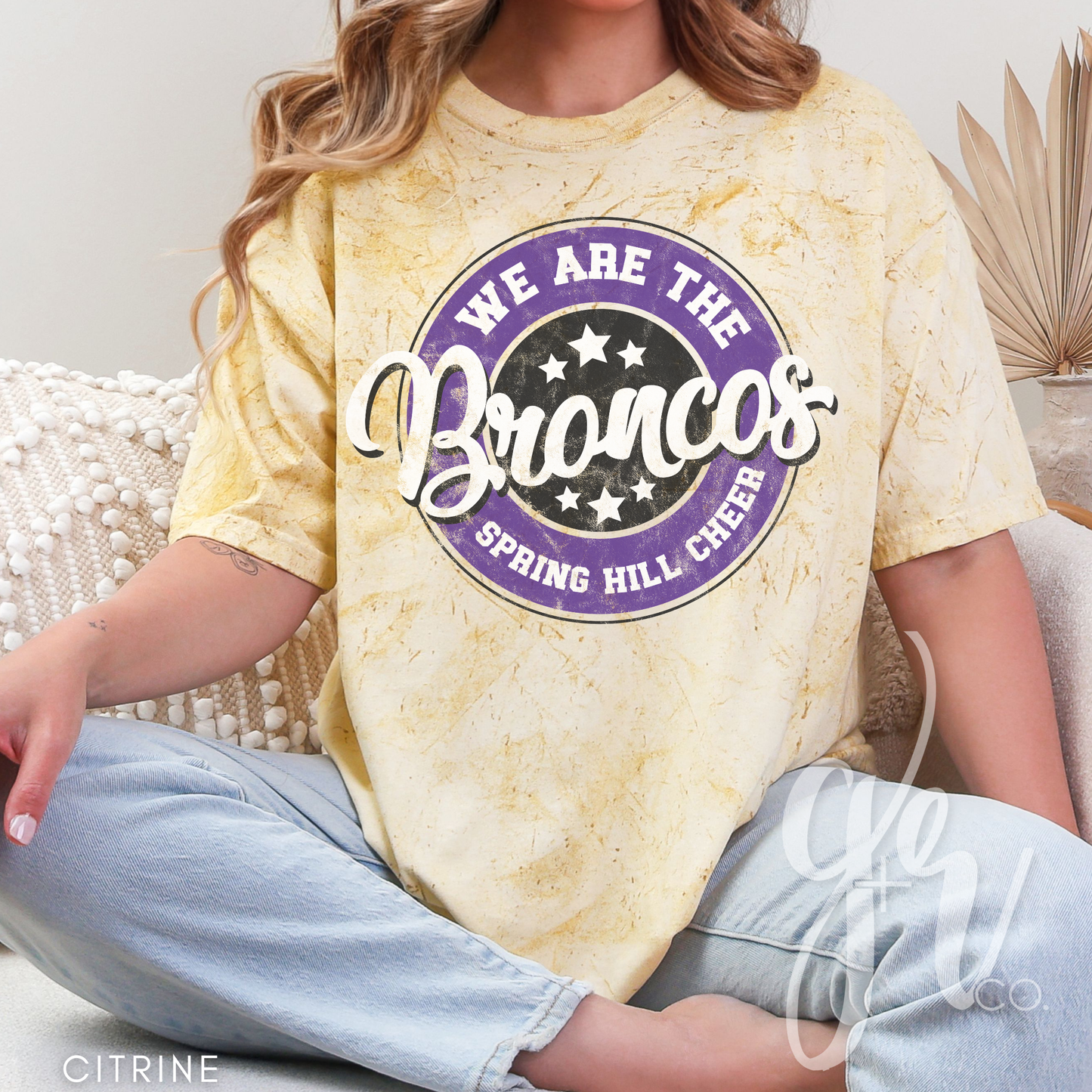 We Are the Broncos Cheer (Tees+Sweatshirts)