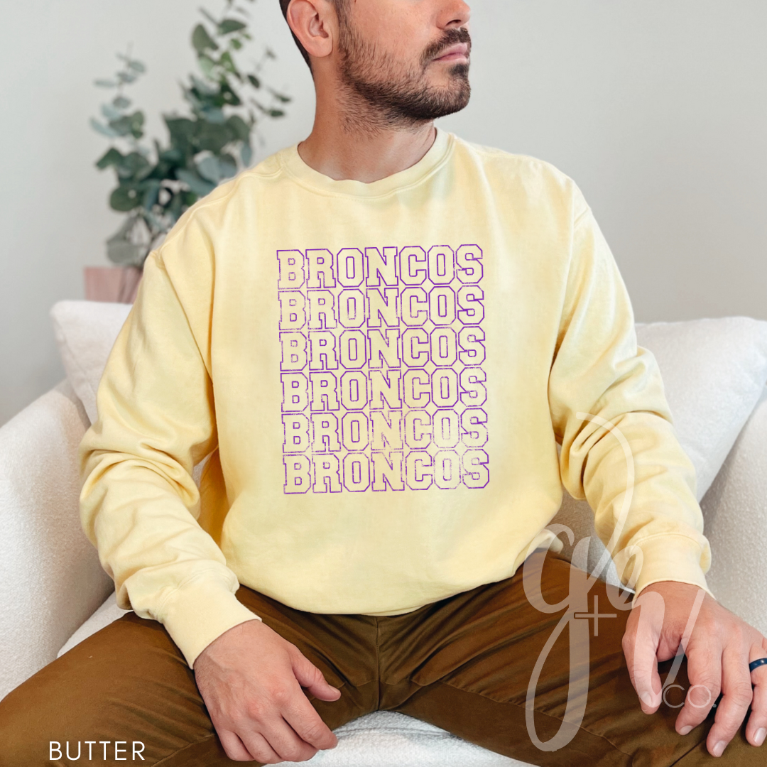 SH Varsity Mascots - Colts or Broncos (Tees+Sweatshirts)