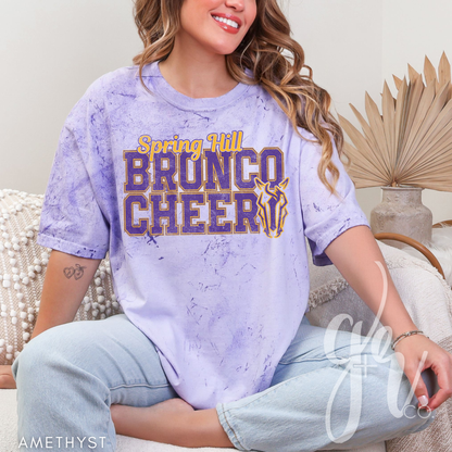 Bronco Cheer Varsity (Tees+Sweatshirts)