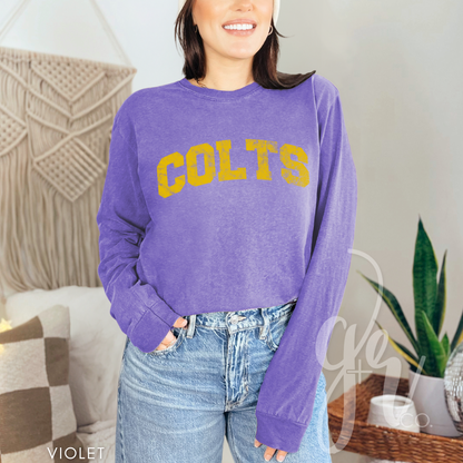NEW! Distressed Varsity Colts (Tees+Sweatshirts)