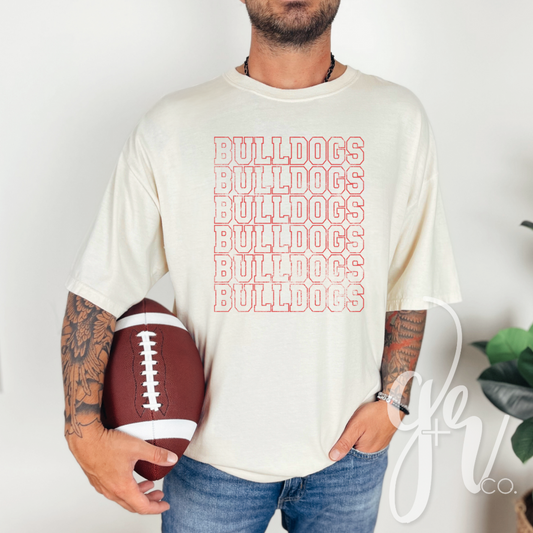 Sample School Spirit Varsity