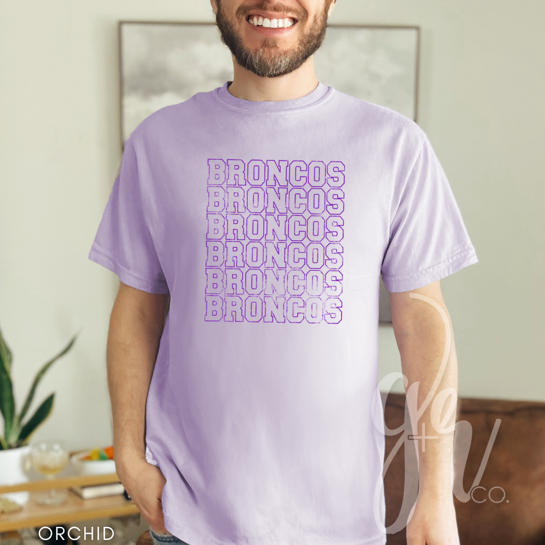 SH Varsity Mascots - Colts or Broncos (Tees+Sweatshirts)