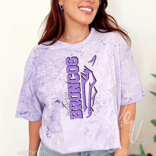 Sample School Spirit Logo+Name