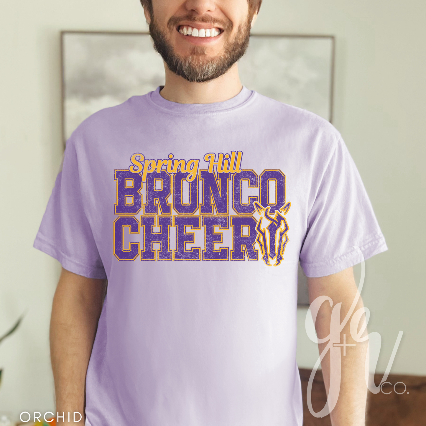 Bronco Cheer Varsity (Tees+Sweatshirts)