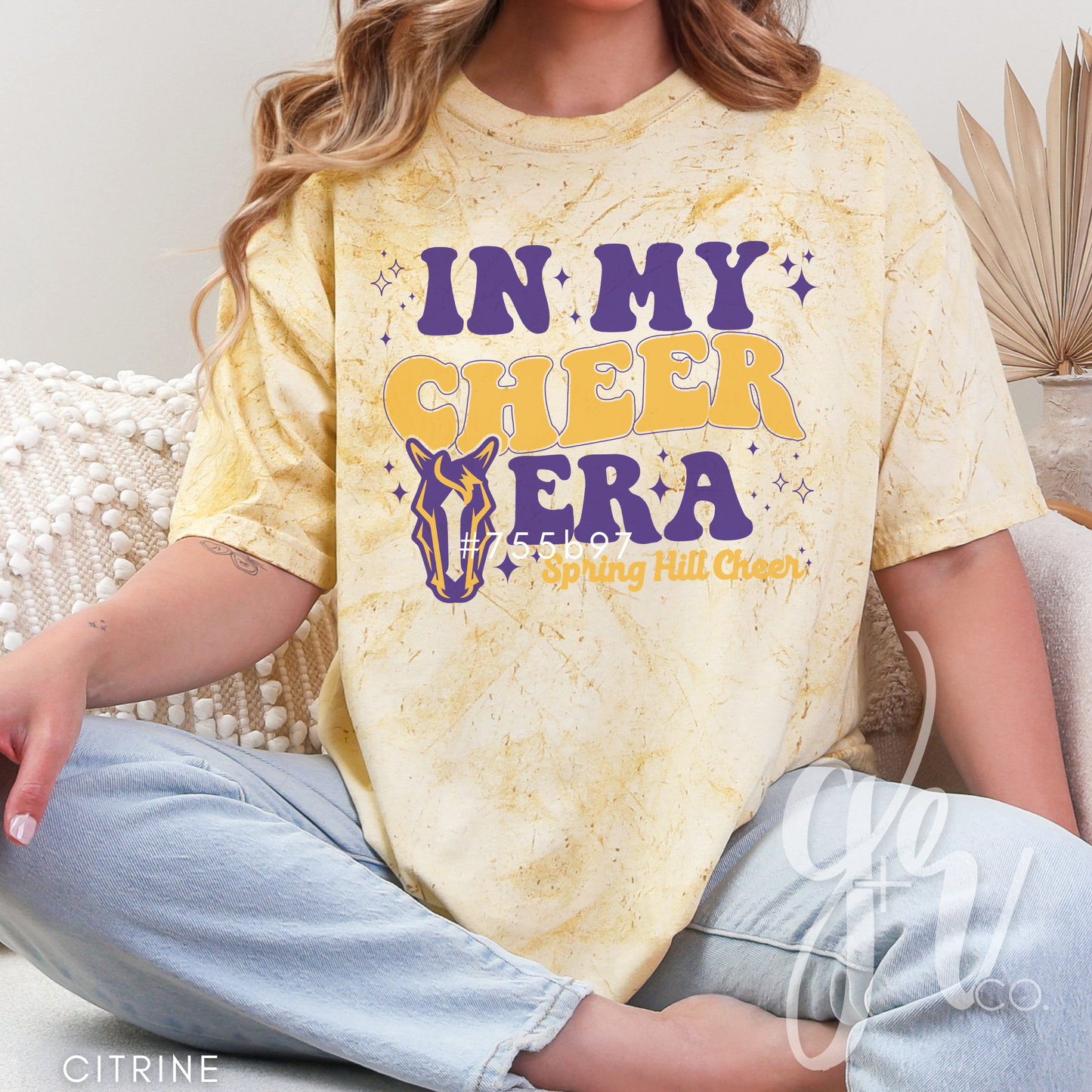 In My Bronco Cheer Era (Tees+Sweatshirts)