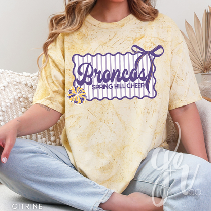 Spring Hill Cheer Bow (Tees+Sweatshirts)