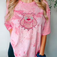 Custom Preppy Mascot Faux Chenille — Pop-Up