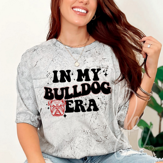 Sample School Spirit Mascot Era