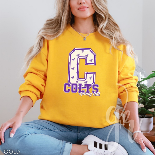 Sample School Spirit Mascot Initials