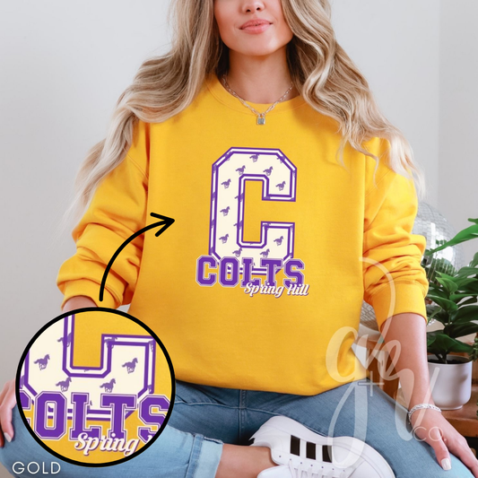 Sample School Spirit Mascot Initials