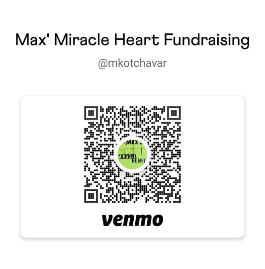 Max's Miracle Heart - Fundraiser Bracelet